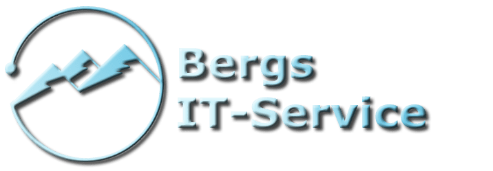 Bergs IT-Service